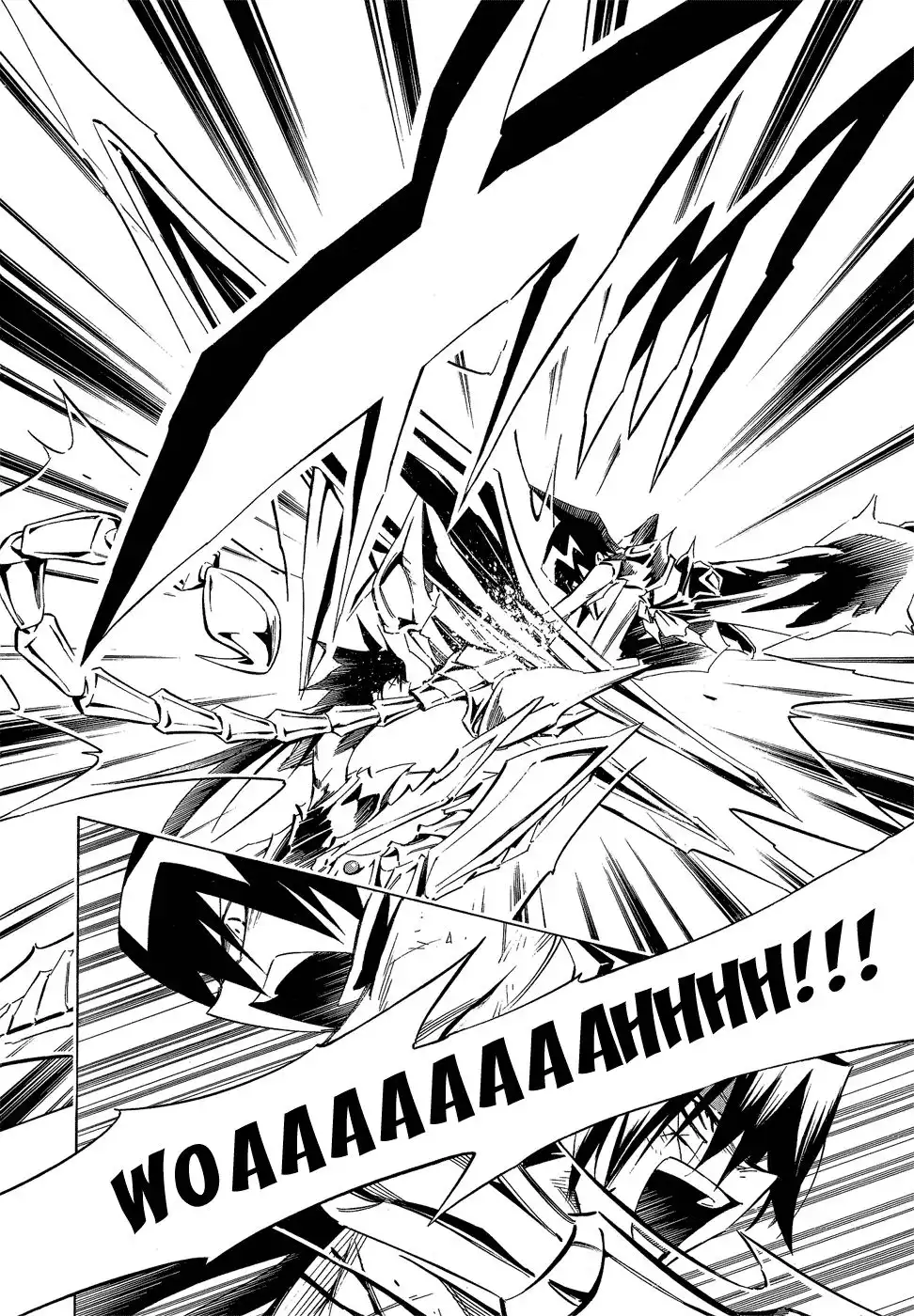 Shaman King Chapter 291 13